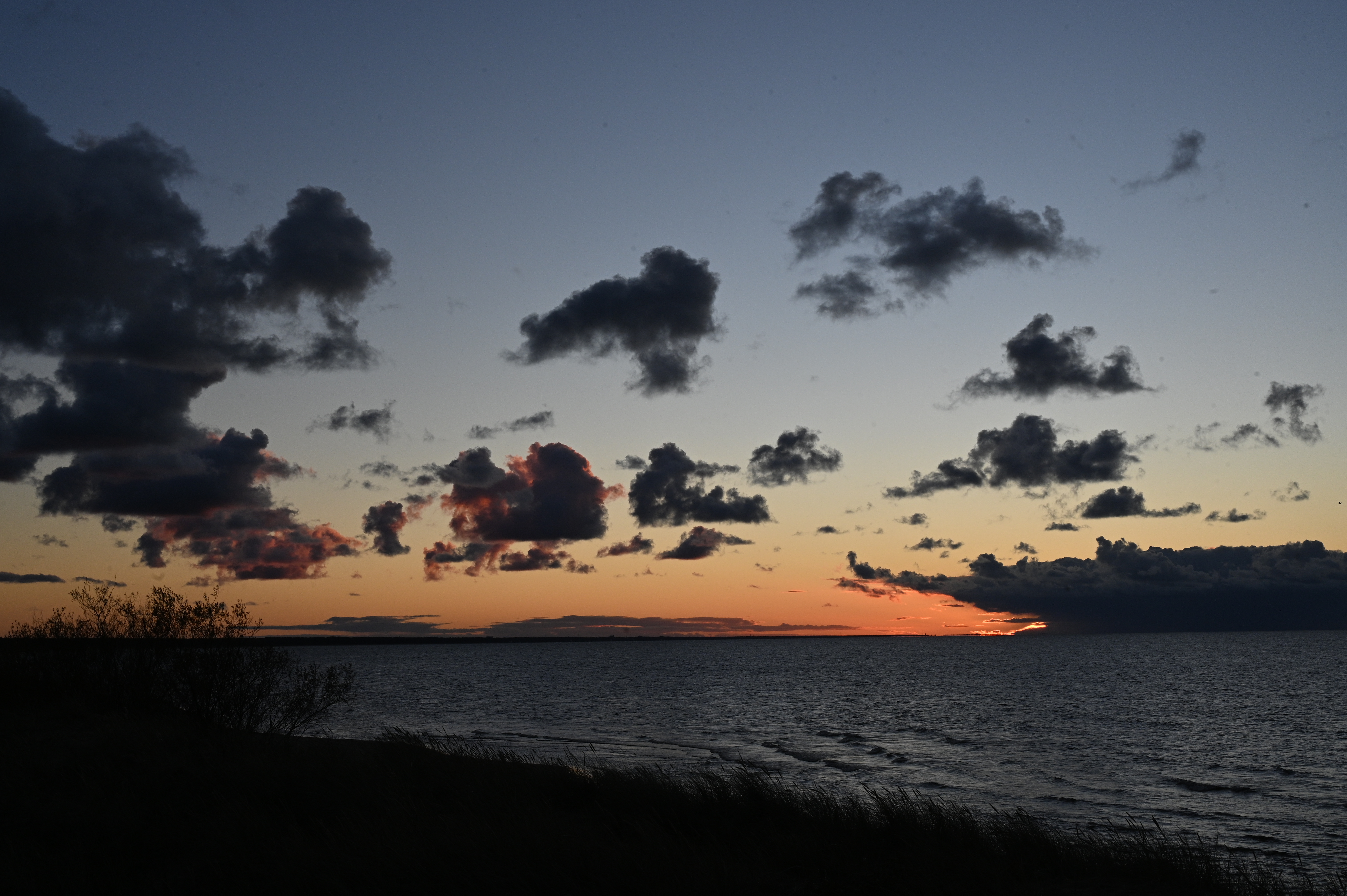 2025/10/18 - walk/DSC_0512.JPG